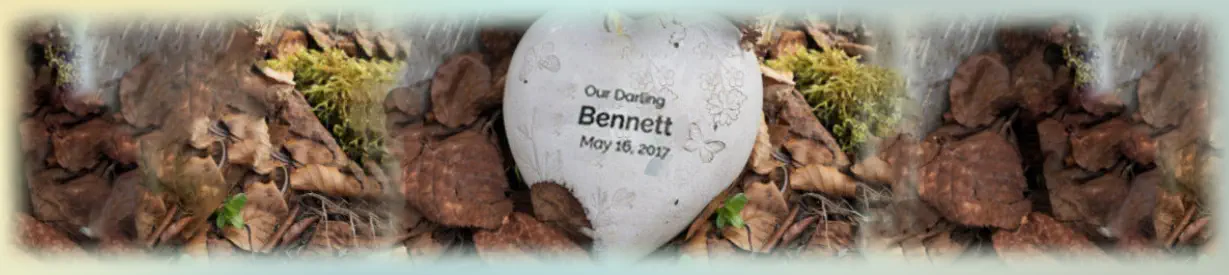 Lynch Cremation Heart